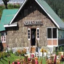 Hotel Nedou's - Hotel Nedou's Ski Institute Rd, opp. Gulmarg Golf Club, Gulmarg, Forest Block, 193403