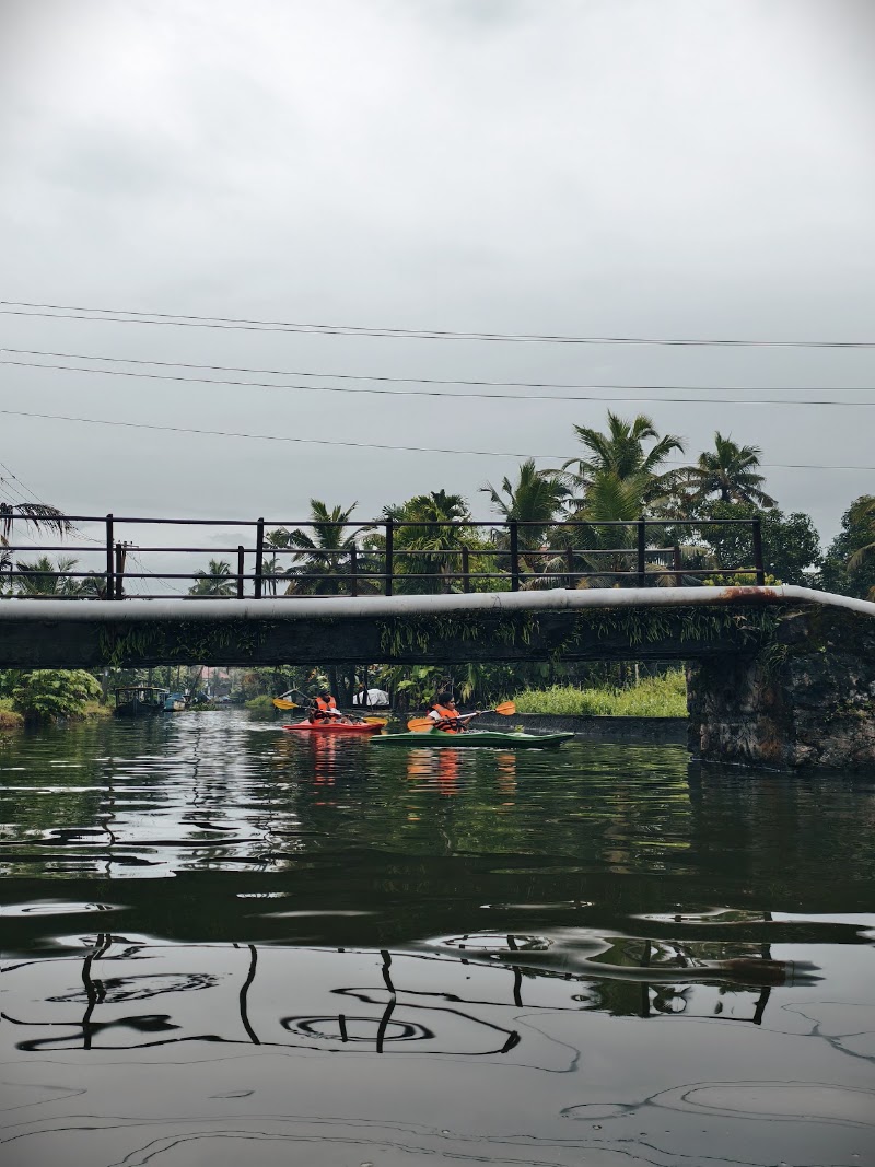 Mellowing in alleppey - Mellowing in alleppey Chungam Road, Pallathuruthy, Pazhaveedu, Alappuzha, Keralam 688011, India