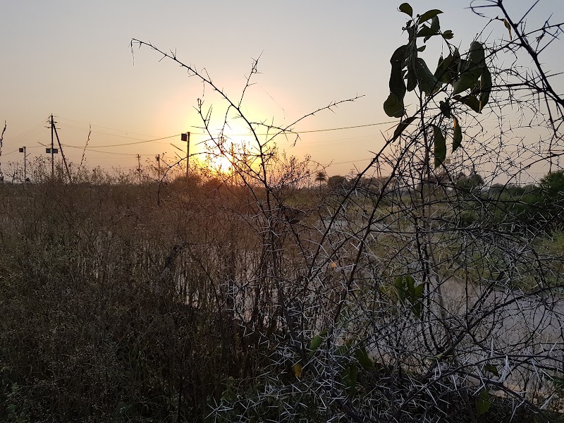 Sunset point - Sunset point 5VGR+77J, Mr4Extension Rd, Madhya Pradesh 482002, India