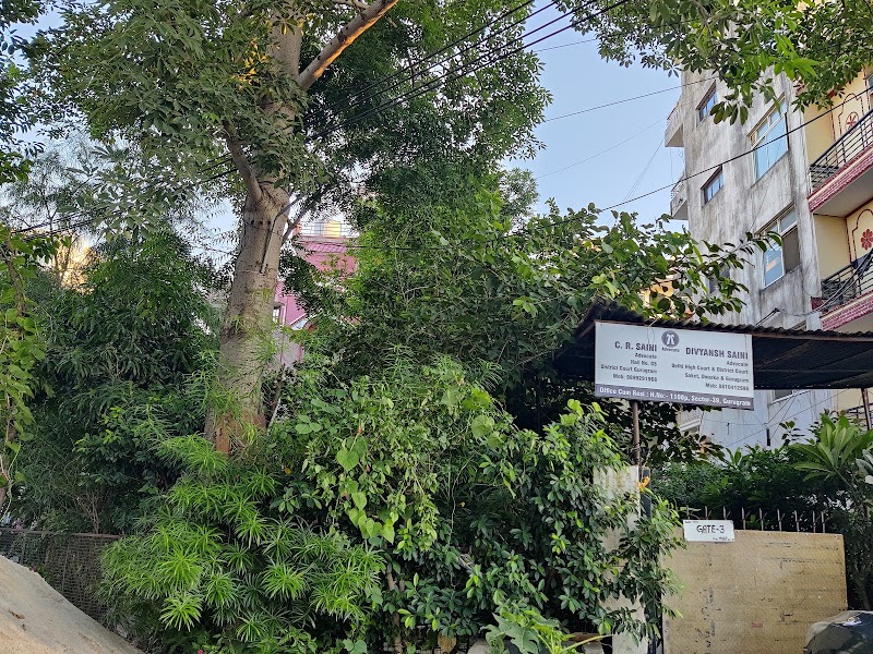 World Peace Center - World Peace Center C3X2+4R8, Jharsa, Mohyal Colony, Sector 39, Gurugram, Haryana 122003, India