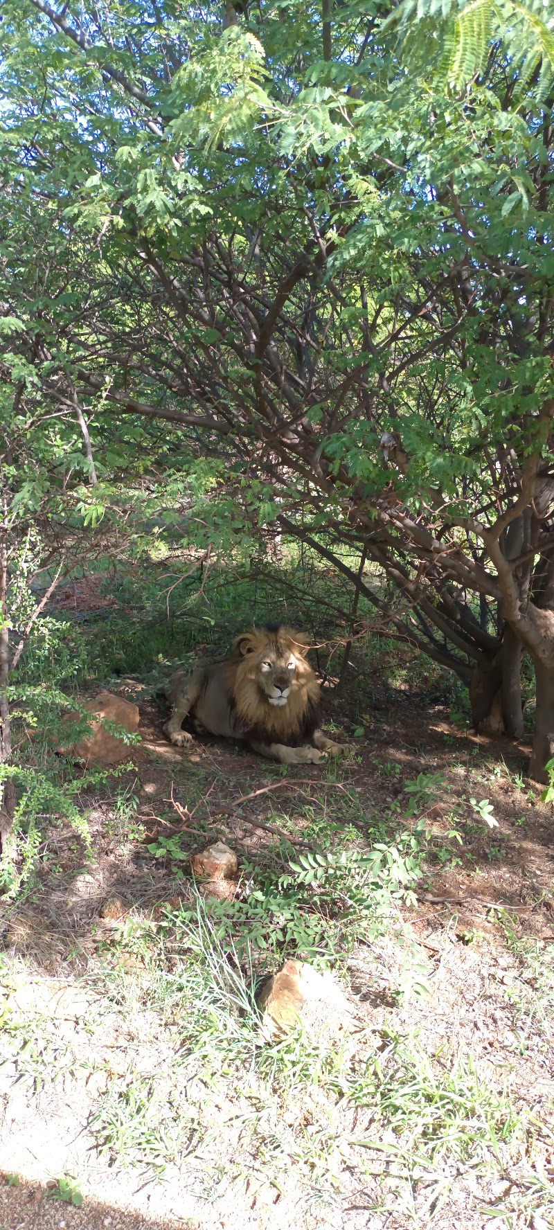 Kamalapura - Kamalapura, Karnataka, India