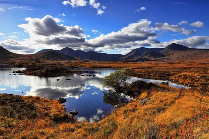 Black Mount - Black Mount, Bridge of Orchy PA36 4AG, UK