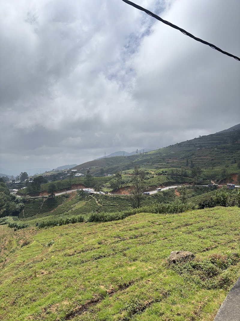 Nuwara Eliya Tours Tea Tours And Secret Falls On Hidden Paths - Nuwara Eliya Tours Tea Tours And Secret Falls On Hidden Paths, Nuwara Eliya 22200, Sri Lanka