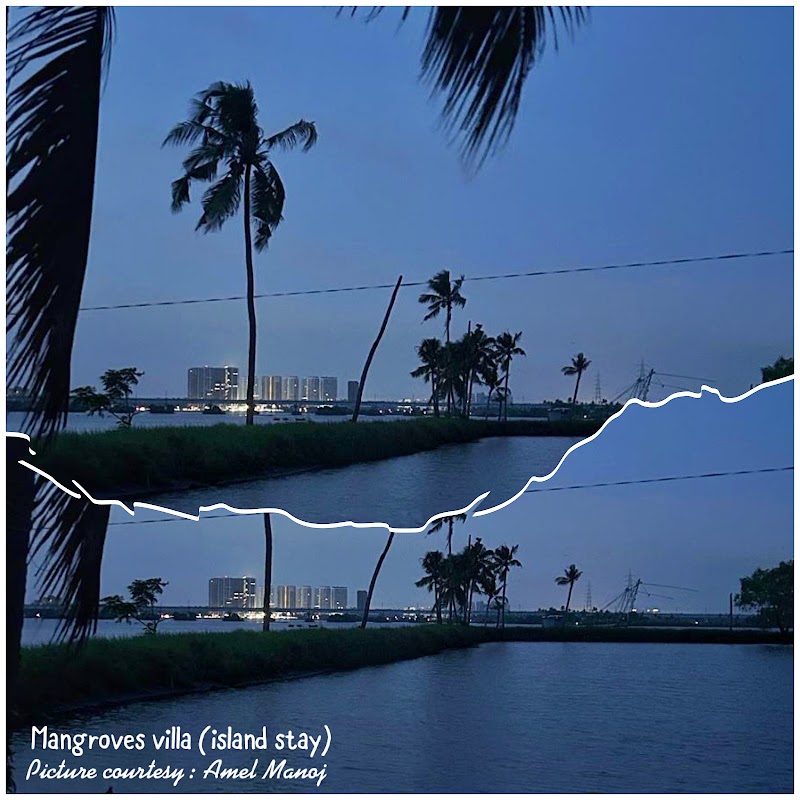 Mangroves Villa - Mangroves Villa Manimoopan Rd, Vaduthala, Kochi, Kerala 682023, India