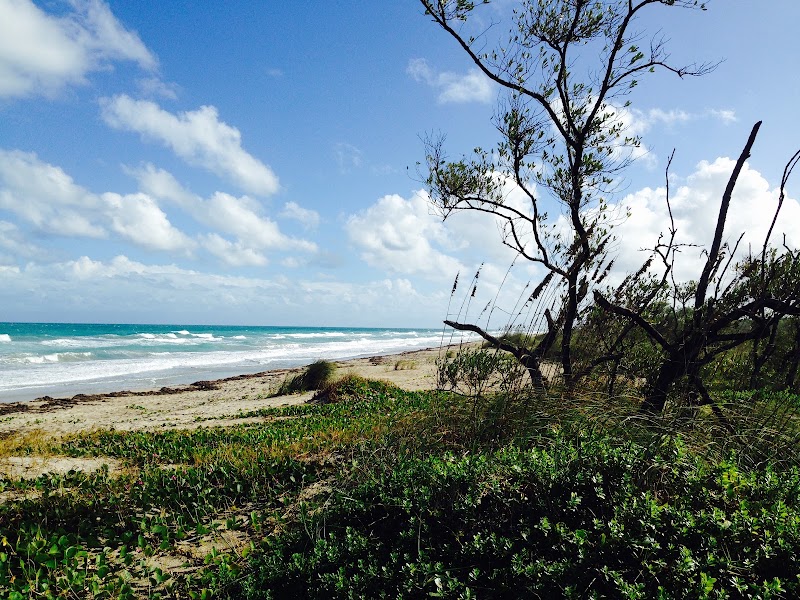 Hutchinson Island