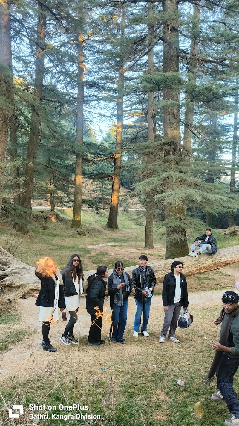 Kalatop Adventure Activities - Kalatop Adventure Activities Kalatop, Himachal Pradesh 176304, India