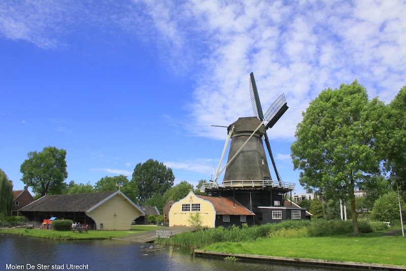 Molen de Ster - Molen de Ster İngang Floresstraat, Molenpark 3, 3531 ET Utrecht, Netherlands