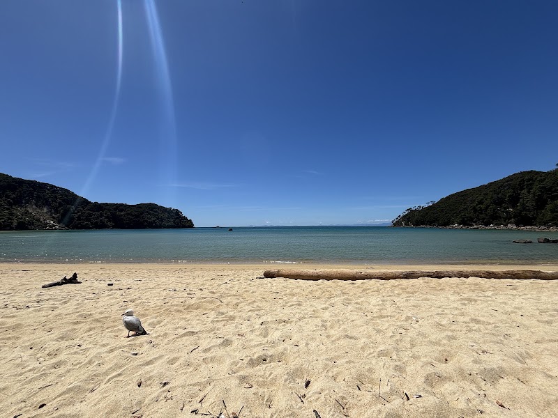 Abel Tasman Marahau Sea Kayaks - Abel Tasman Marahau Sea Kayaks, 8 Franklin Street, Mārahau 7197, New Zealand
