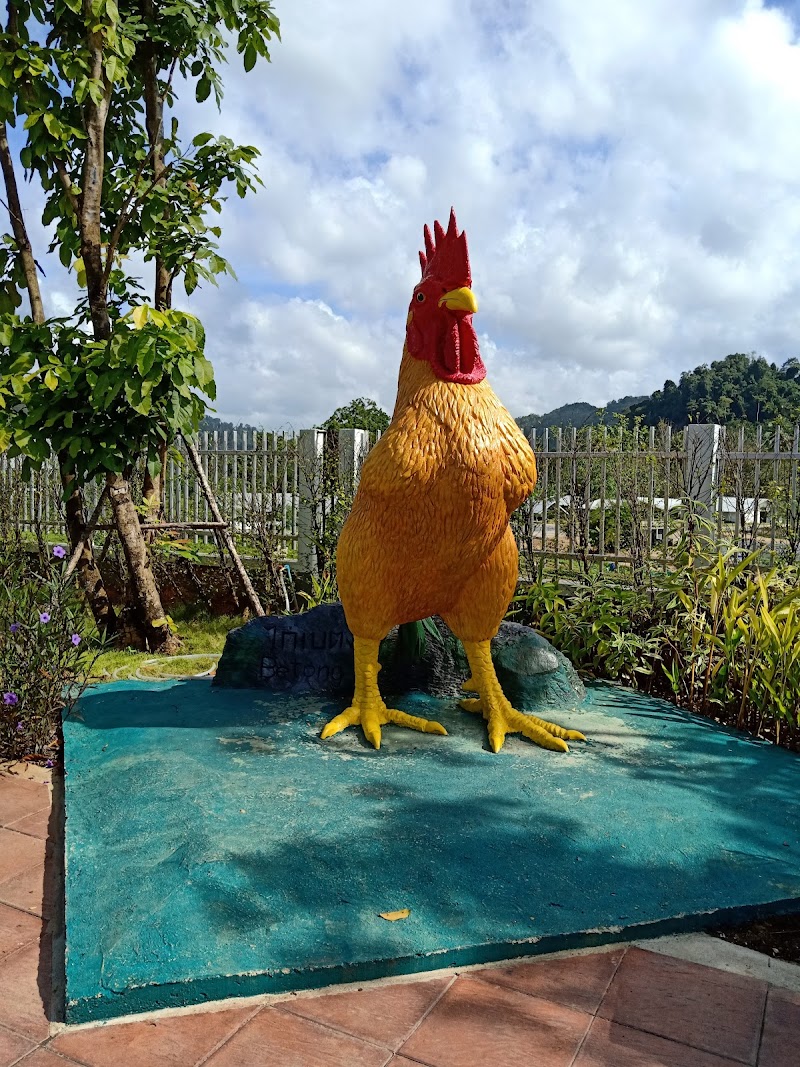 Yala - Yala Yala, Sateng, Mueang Yala District, Yala 95000, Thailand