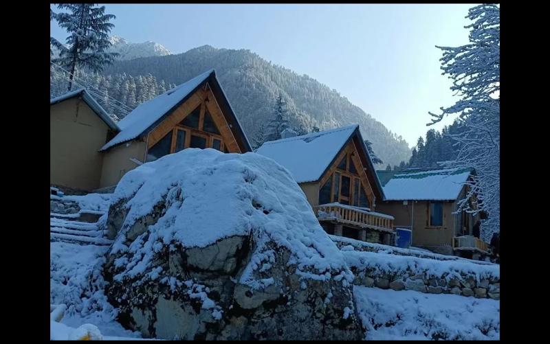 The Bushman Lodge - The Bushman Lodge The Bushman Lodge, Ghiyagi, Jibhi, Himachal Pradesh 175123, India