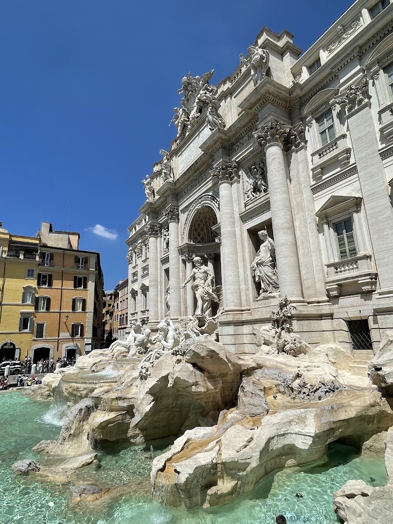 Driverinrome Tours and Transportation - Driverinrome Tours and Transportation, Via Pian del Marmo, 21, 00166 Roma RM, Italy