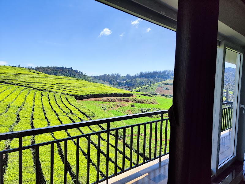 Tea Estate view Stay - Tea Estate view Stay SF No: G/1/44/1, Thittukkal Salai, Governor, Sola road, West Mere, Ooty, Tamil Nadu 643004, India