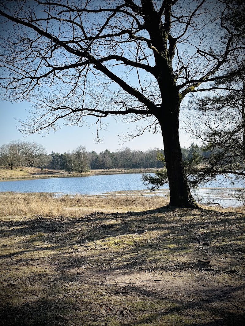 Somerense Heide - Somerense Heide, 5711 RJ Someren, Netherlands
