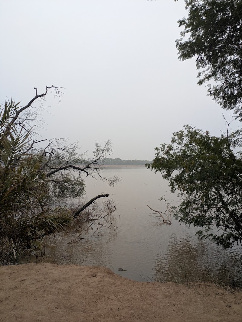 Bird watching area
