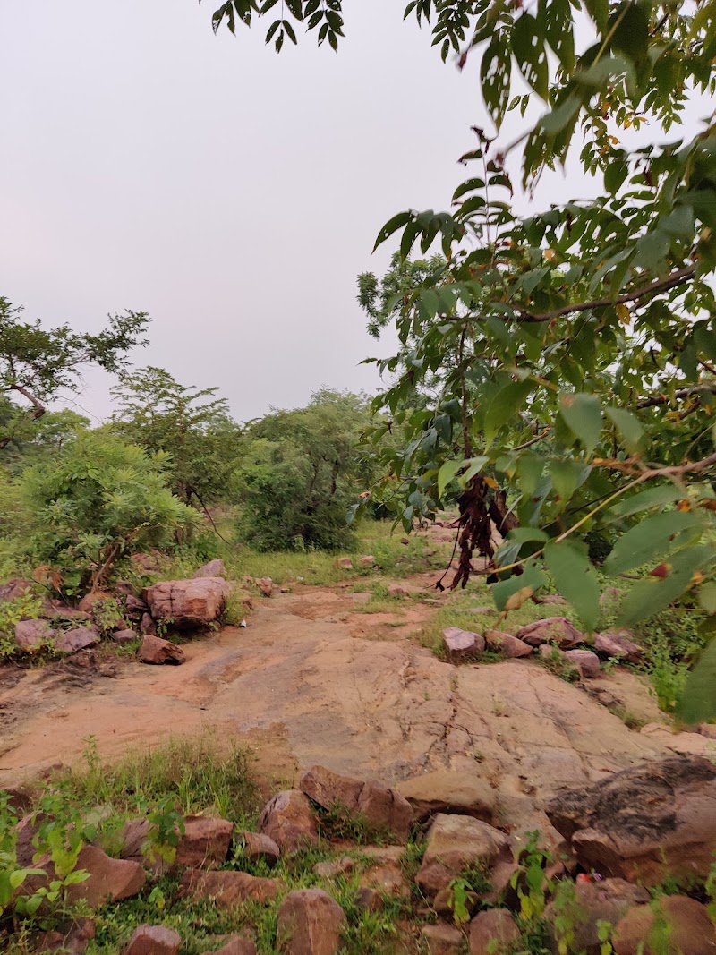 Kutan Nala waterfall - Kutan Nala waterfall, G9GM+VM5, Bakla, Chhattisgarh 493335, India