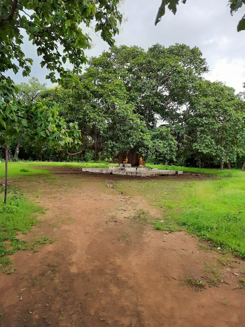 Buddha Vihar, Sangharamgiri - Buddha Vihar, Sangharamgiri, C6HX+8F4, Ramdegi Mandir, Maharashtra 442903, India