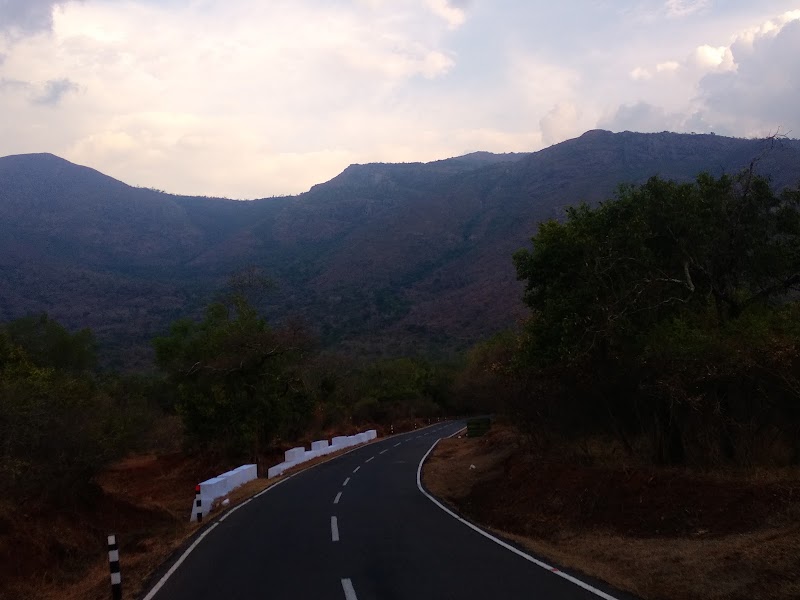 Mukurthi National Park - Mukurthi National Park Nilgiri hills, Mulligoor, Tamil Nadu 643219, India