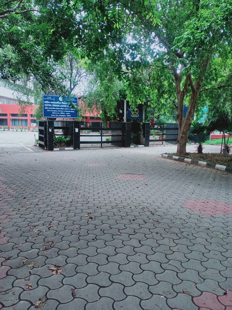 Central Forensic Science Laboratory - Central Forensic Science Laboratory, PQP5+PGJ, Dakshin Marg, 36A, Sector 36, Chandigarh, 160036, India