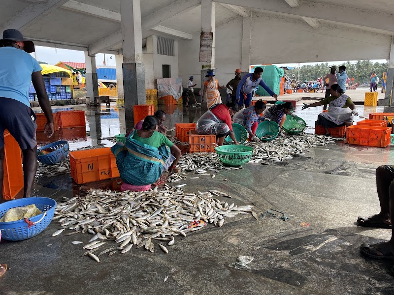 Fish market - Fish market, Malpe, Kola, Udupi, Karnataka 576108, India