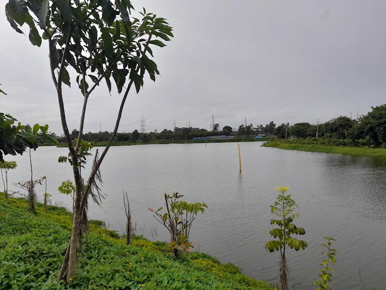 Lake Front Resorts - Lake Front Resorts Sy. No. 212, Bettadasanapura, jigani hobli, Bettadasanapura, S.Bingipura, Karnataka 560105, India