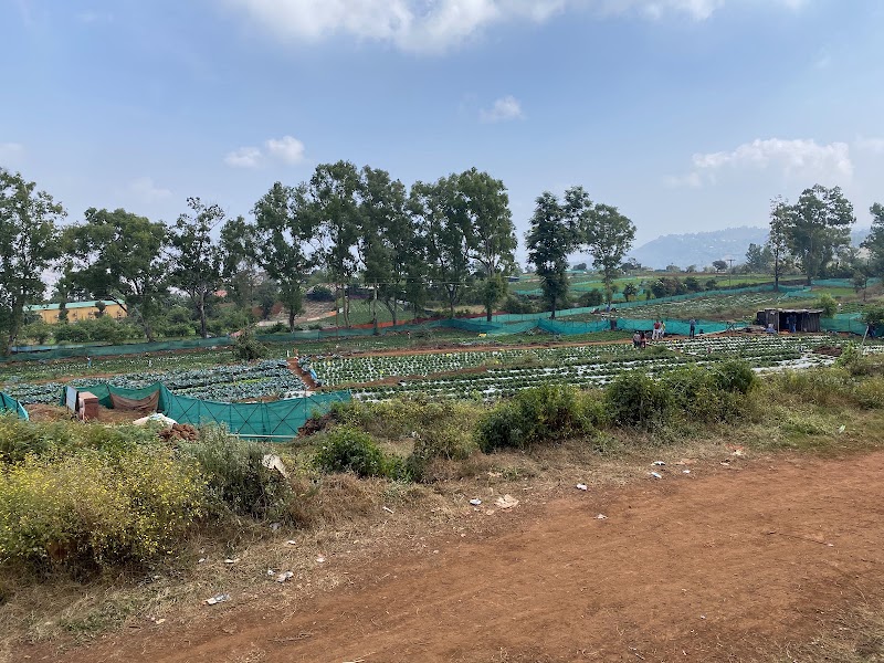 Mapro Garden - Mapro Garden 15/1B, Gureghar, Panchgani - Mahabaleshwar Rd, Mahabaleshwar, Gureghar, Maharashtra 412806, India