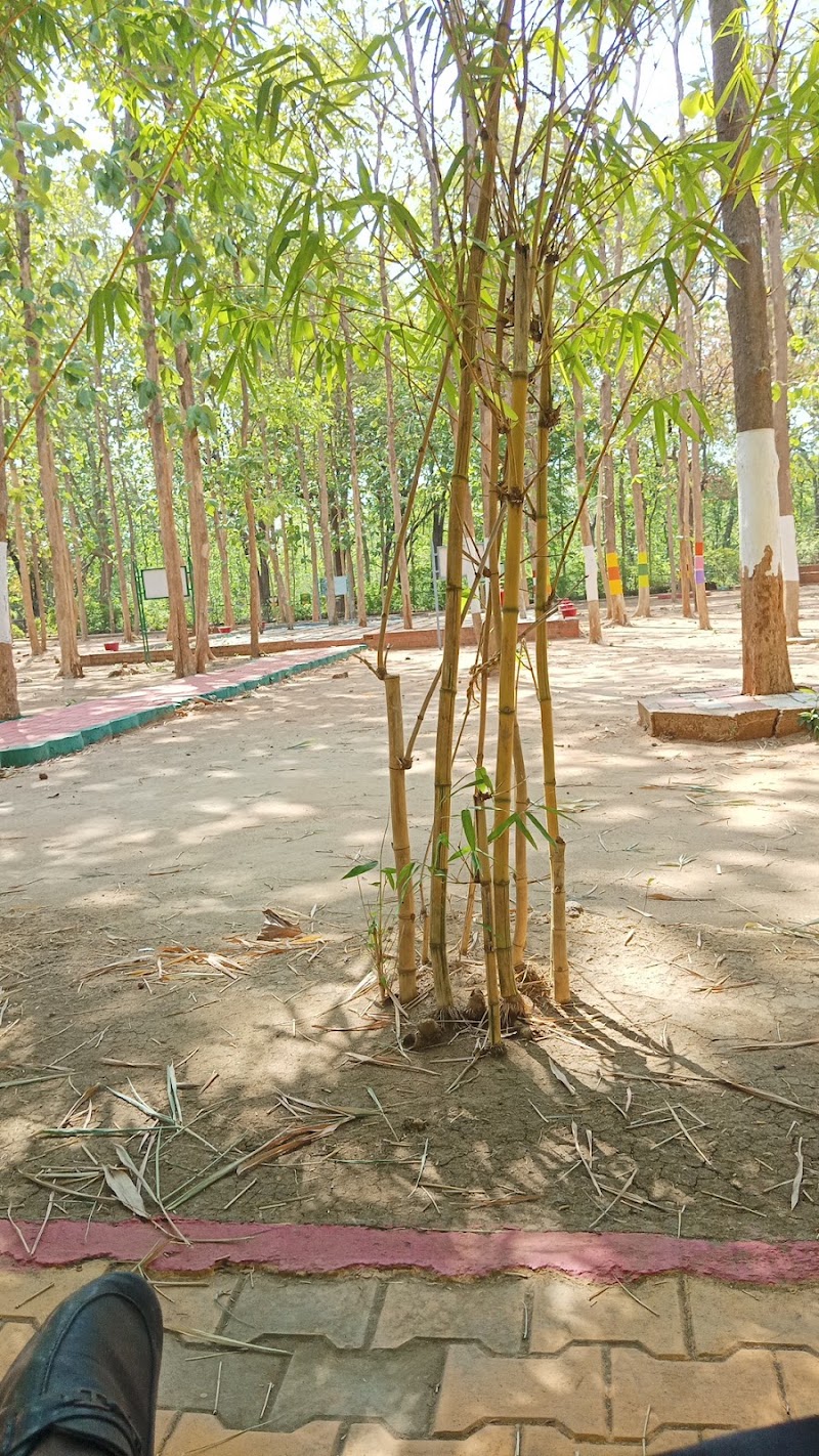 ButterFly World - ButterFly World 485H+3JR, Road, Agarzari, Maharashtra 442404, India