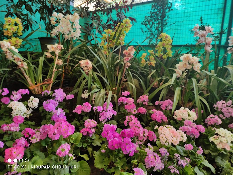 Flower Exhibition Centre - Ridge Park. - Flower Exhibition Centre - Ridge Park. 8JJ8+MG7, Arithang, Gangtok, Sikkim 737101, India