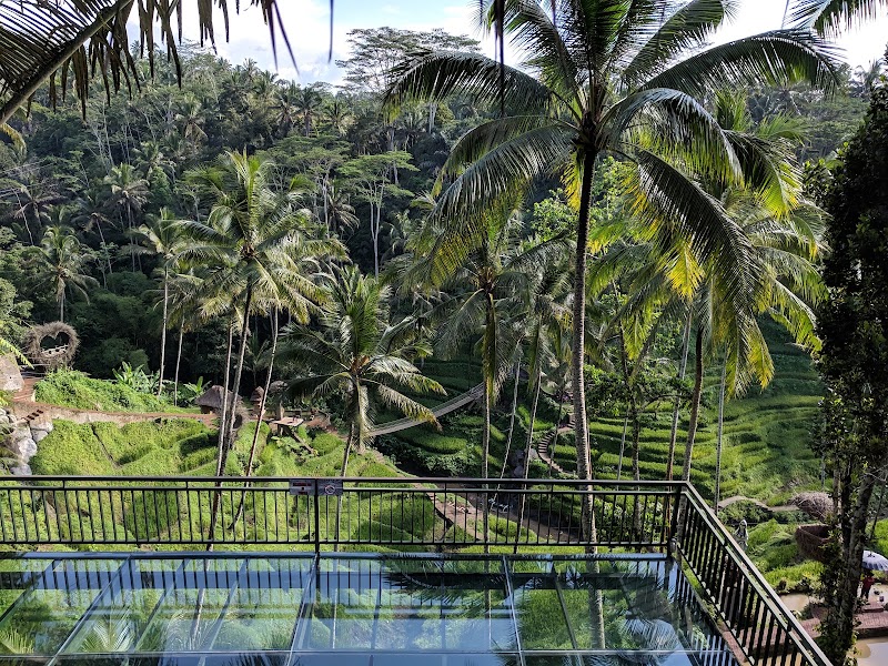 Alas Harum Bali - Alas Harum Bali, Jl. Raya Tegallalang, Tegallalang, Kec. Tegallalang, Kabupaten Gianyar, Bali 80561, Indonesia