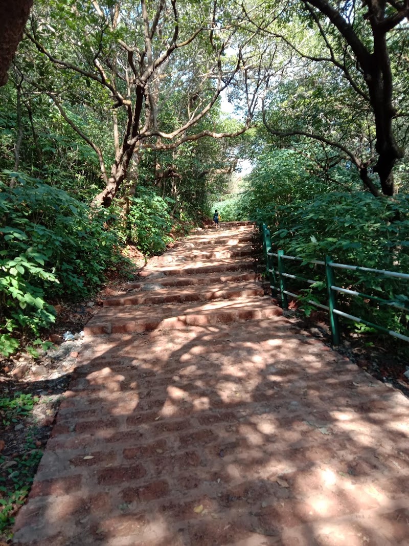 Lodwick Point - Lodwick Point WJQM+QWJ, Lodwick Trail, Haroshi, Mahabaleshwar, Maharashtra 412806, India