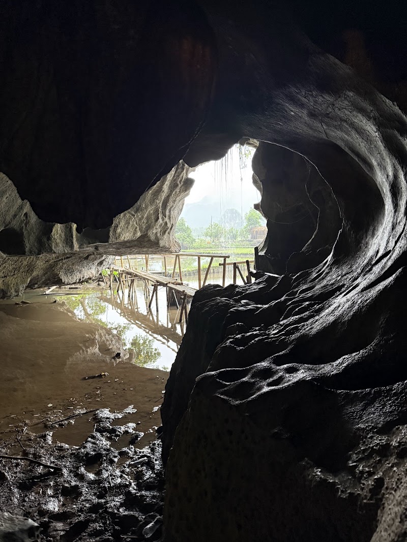 Buffalo Cave - Buffalo Cave, 6WFF+CG, Nam Hoa Lu, Ninh Binh, Vietnam