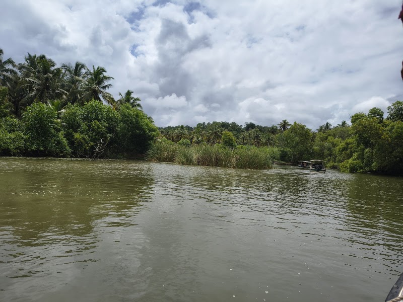 Backwaters in poovar island - Backwaters in poovar island Poovar, Kerala 695026, India