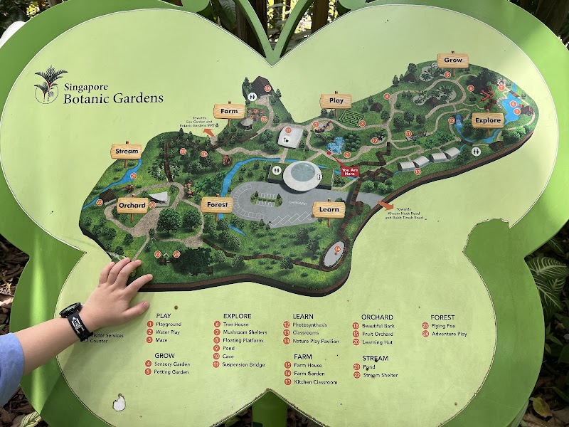 Jacob Ballas Children's Garden - Jacob Ballas Children's Garden 1H Cluny Rd, Singapore 259604