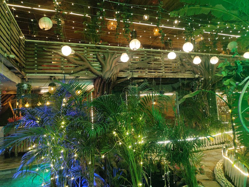 The Forestta - Best Cafe in Gurgaon - The Forestta - Best Cafe in Gurgaon sarsawti kunj, Plot No 27, Golf Course Rd, opposite Alchemist Hospital, Suncity, Sector 54, Gurugram, Haryana 122003, India