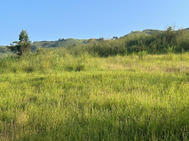 Legacy Lands - Premium Farmhouse Plots, Velhe - Legacy Lands - Premium Farmhouse Plots, Velhe, 7JPW+R72, Velhe, Velhe Kh. Ghera, Maharashtra 412212, India