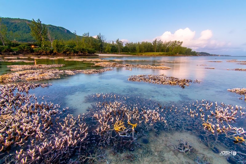 Belle Mare Tours - Belle Mare Tours Quatre Cocos, Mauritius