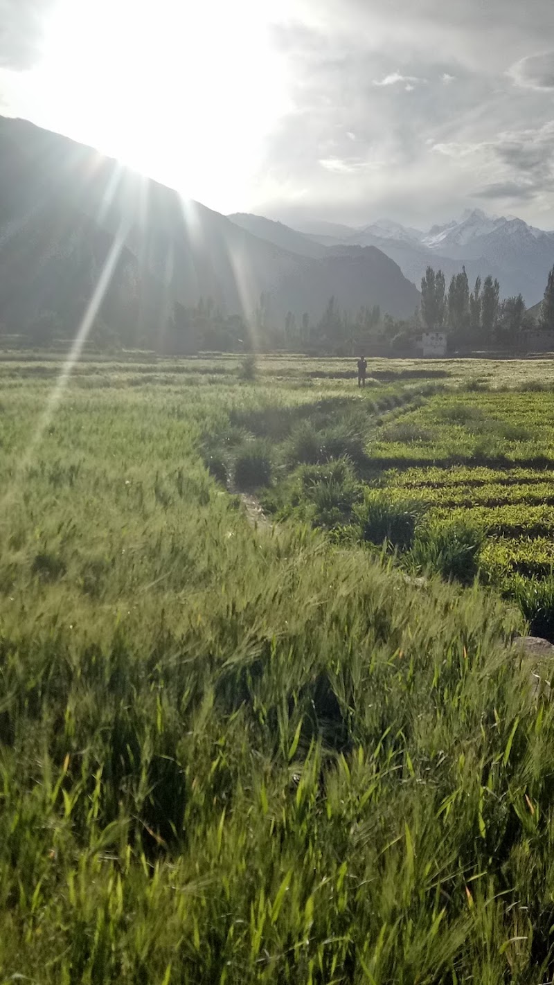 Shyok River - Shyok River Shyok River