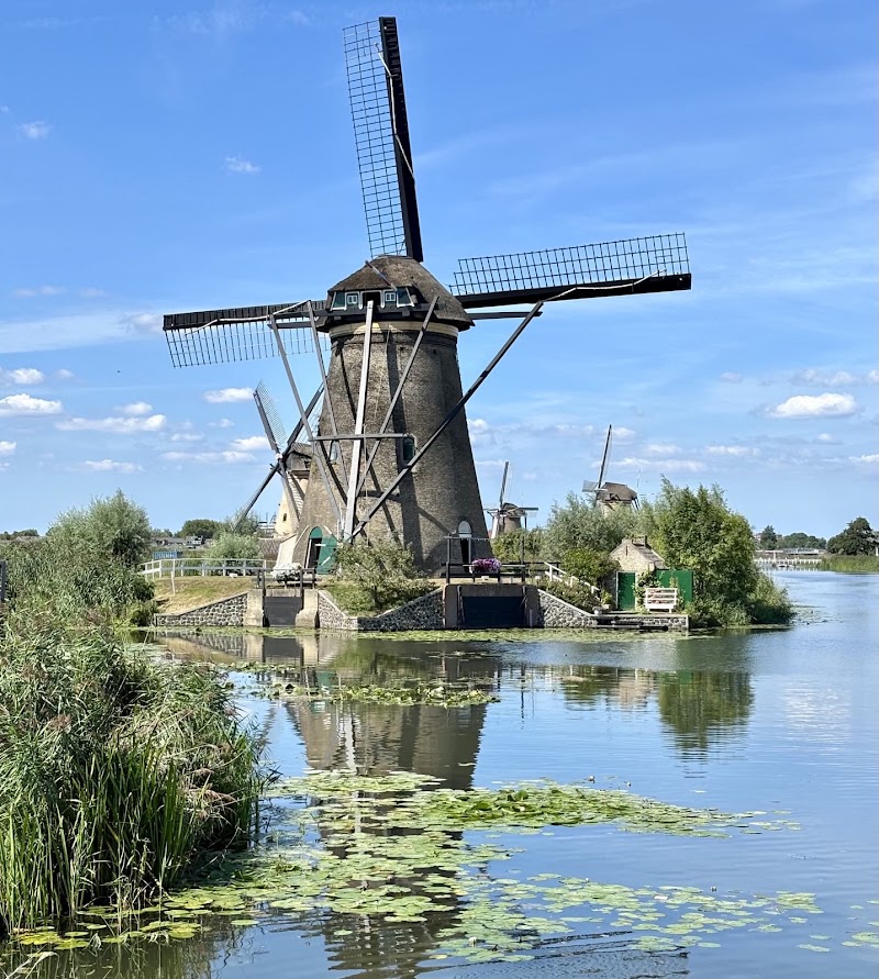 Nederwaard No. 1