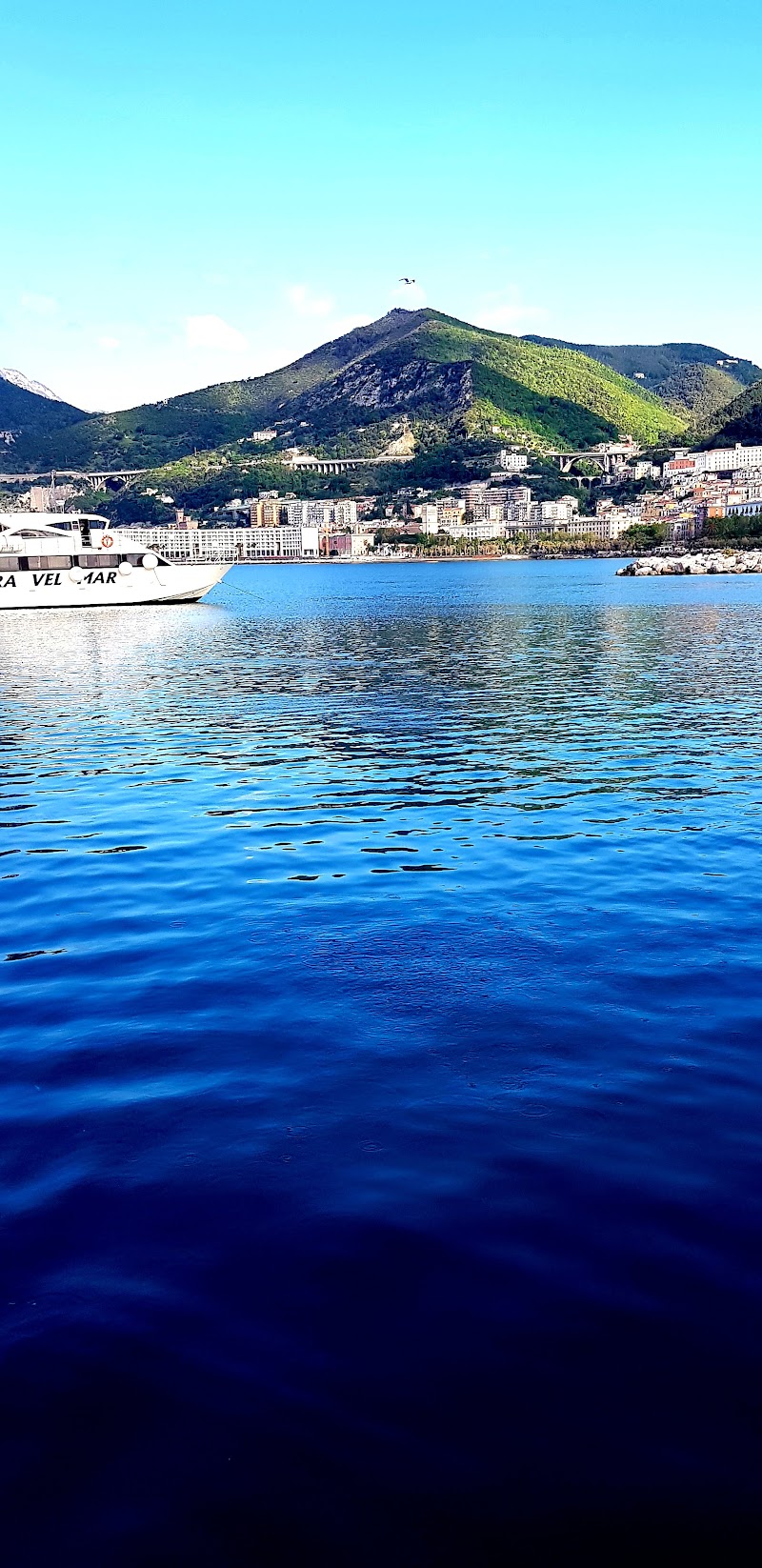 Travelmar - Traghetti Salerno - Travelmar - Traghetti Salerno, Piazza della Concordia, 84123 Salerno SA, Italy