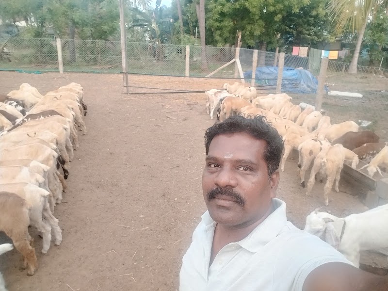 The Fat Lamb Co. - The Fat Lamb Co., Nadar Colony, Kompanaipudur, Kolathupalayam, Tamil Nadu 638152, India
