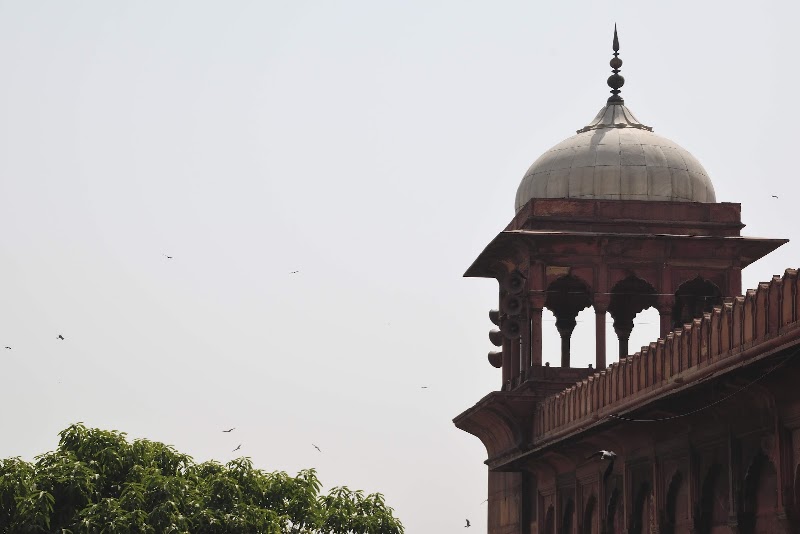 New Delhi - New Delhi, Delhi, India