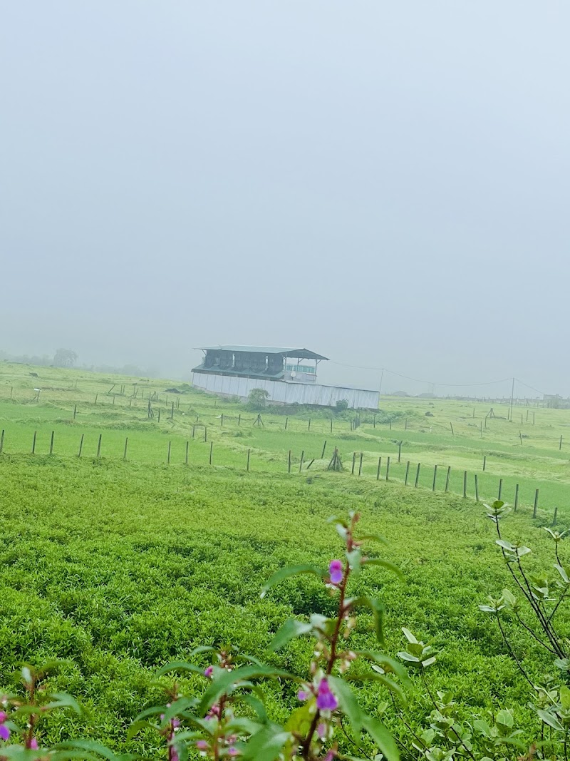 Ekostay Ecstasy Igatpuri - Ekostay Ecstasy Igatpuri PJ34+46Q, Igatpuri, Take, Maharashtra 422402, India