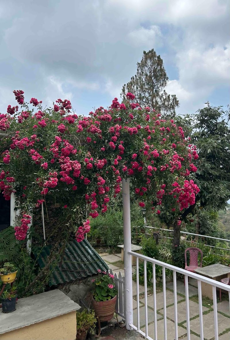 Frozen Woods Resorts - Frozen Woods Resorts, FJW9+JV, Mukteshwar, Uttarakhand 263158, India