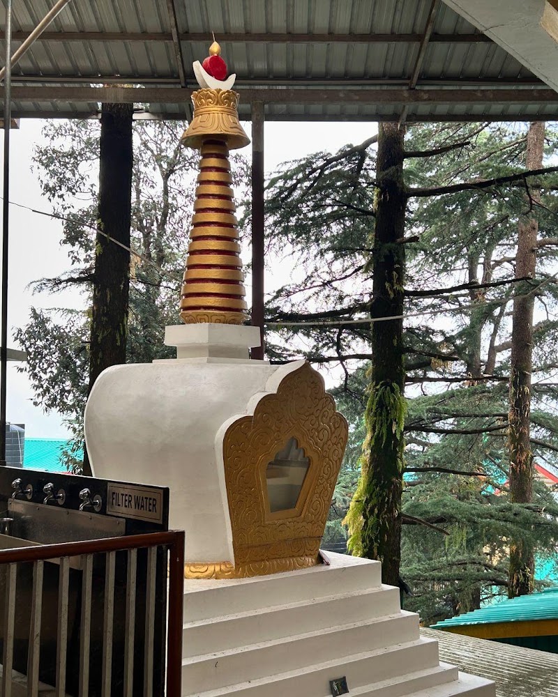 Namgyal Monastery - Namgyal Monastery 68MF+2X2, Temple Rd, McLeod Ganj, Dharamshala, Himachal Pradesh 176215, India