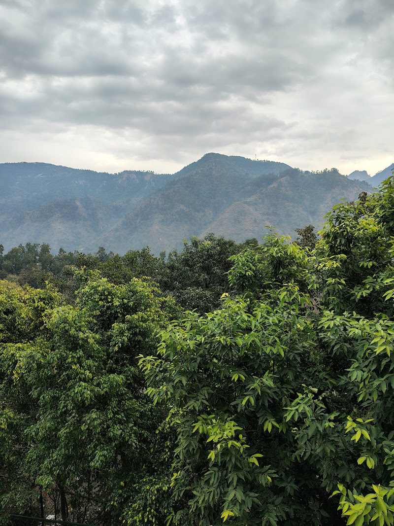 Cloud Heaven Villa - Cloud Heaven Villa 84X4+QX6, Asthal, Uttarakhand 248013, India