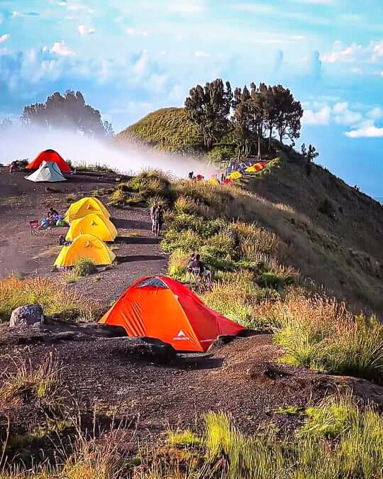Pelawangan Sembalun - Pelawangan Sembalun, Sembalun Lawang, Sembalun, Sembalun Lawang, Kec. Sembalun, Kabupaten Lombok Timur, Nusa Tenggara Bar. 83656, Indonesia