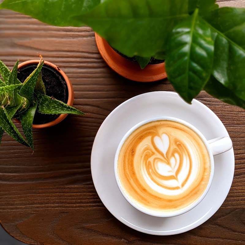 9th Bar Coffee - Drive Thru and walk in - 9th Bar Coffee - Drive Thru and walk in 33520 US Hwy 19 N, Palm Harbor, FL 34684, USA