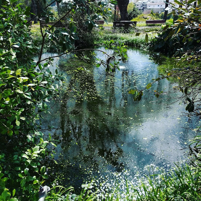 Parque das Tílias - Parque das Tílias Castelo de Paiva, Portugal