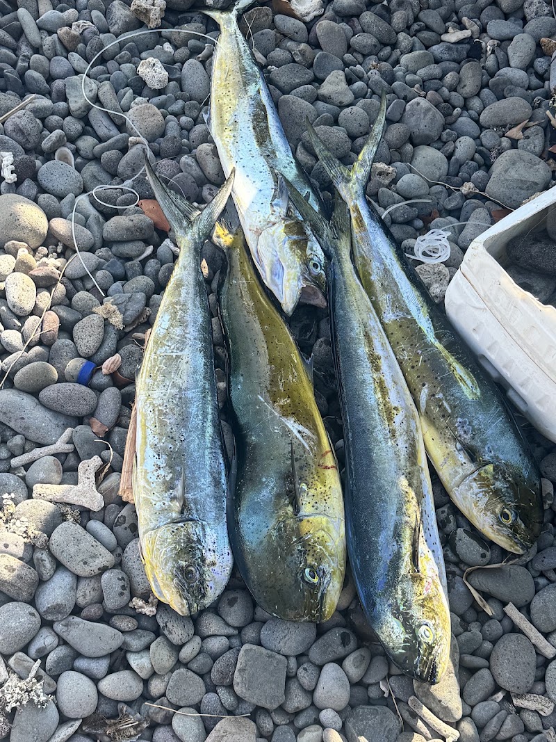 Amed Legendary Fishing & Snorkeling - Amed Legendary Fishing & Snorkeling MM58+GCQ, Bunutan, Abang, Karangasem Regency, Bali 80852, Indonesia