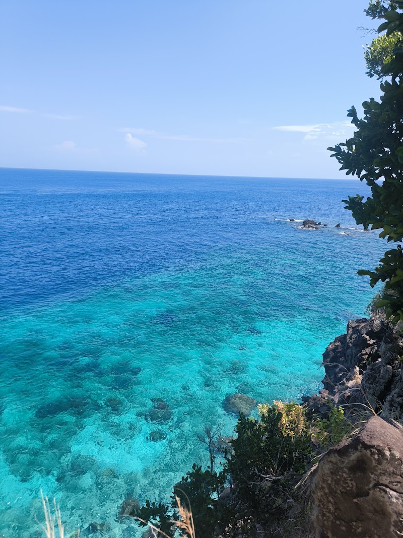 Apo Island View Deck - Apo Island View Deck, 37C9+F7W, Dauin, Negros Oriental, Philippines