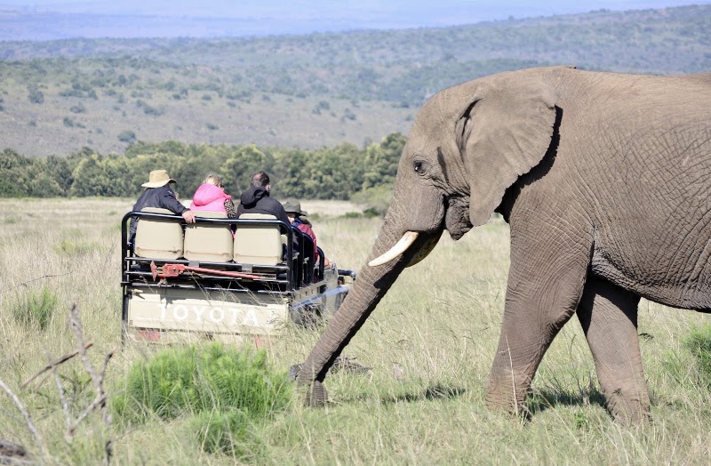 Kichaka Luxury Lodge - Lalibela Wildlife Reserve - Kichaka Luxury Lodge - Lalibela Wildlife Reserve, Assegaai Bush, Grahamstown, 6140, South Africa